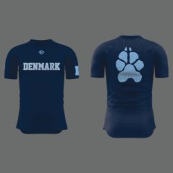 Compression Shirt